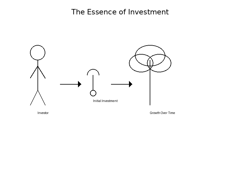 The Essence of Investment